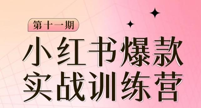 小红书博主爆款训练营第11期，手把手教你从0-1做小红书，从定位到起号到变现-星火轻创