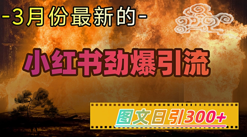 小红书超劲爆引流手段，图文日引300+轻松变现1W-星火轻创