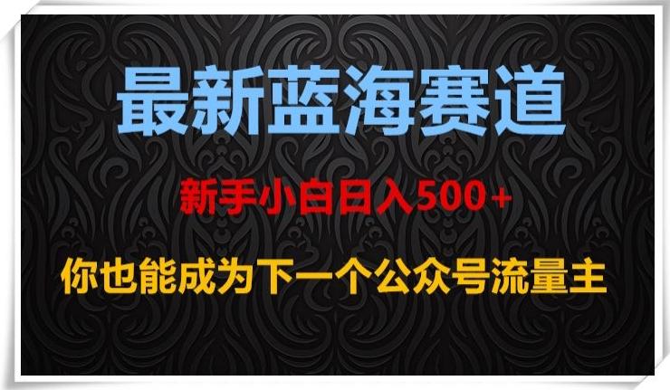 最新蓝海赛道，新手小白日入500+，你也能成为下一个公众号流量主【揭秘】-星火轻创