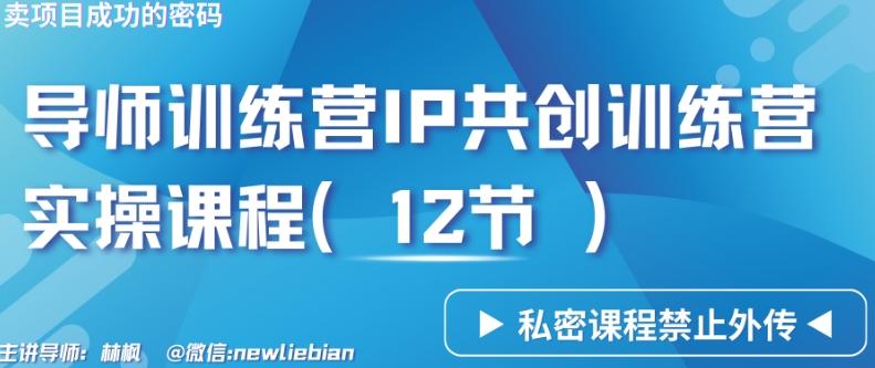 导师训练营3.0IP共创训练营私密实操课程(12节)-卖项目的密码成功秘诀【揭秘】-星火轻创