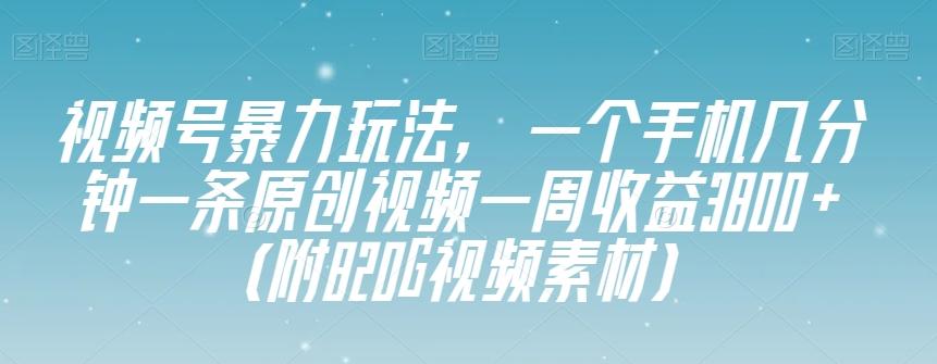 视频号暴力玩法，一个手机几分钟一条原创视频一周收益3800+（附820G视频素材）-星火轻创