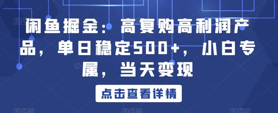 闲鱼掘金：高复购高利润产品，单日稳定500+，小白专属，当天变现-星火轻创