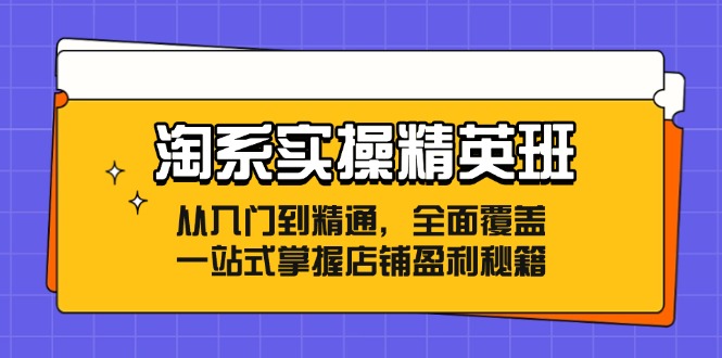 淘系实操精英班：从入门到精通，全面覆盖，一站式掌握店铺盈利秘籍-星火轻创