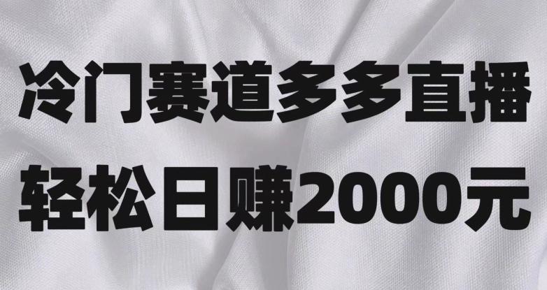 冷门赛道拼多多直播，简单念稿子，日收益2000＋【揭秘】-小艾项目网