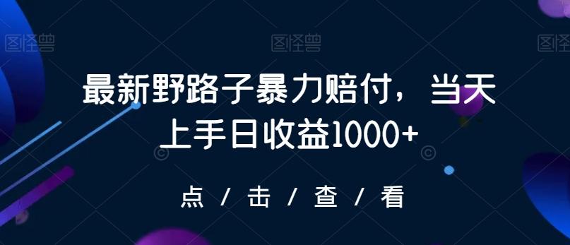 最新野路子暴力赔付，当天上手日收益1000+【仅揭秘】-星火轻创