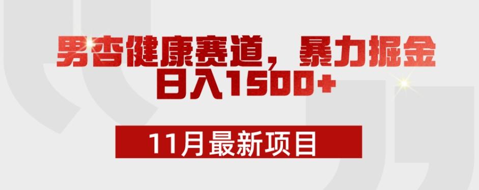 11月最新项目，男杏健康赛道，暴力掘金，日入1500+-星火轻创