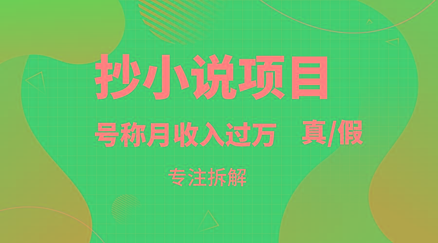 抄小说项目，号称月入过万，到底是否真实，能不能做，详细拆解-星火轻创