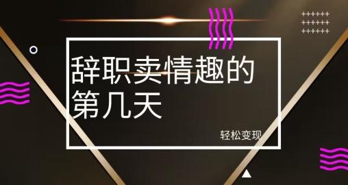 冷门赛道，辞职卖情趣的第几天，超暴力项目-星火轻创