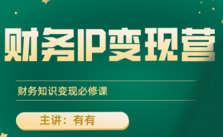 有有老师·财务IP变现营，财务知识变现必修课-星火轻创