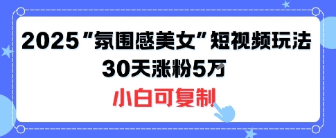 不露脸也能火！2025“氛围感美女”短视频玩法，30天涨粉5W小白可复制-星火轻创