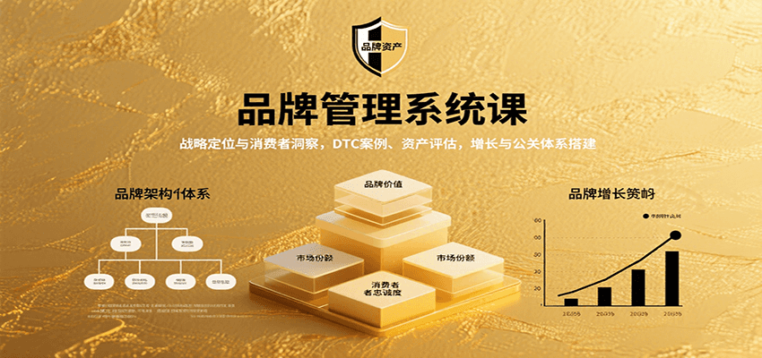 品牌管理系统课:战略定位与消费者洞察,DTC案例、资产评估,增长与公关体系搭建-星火轻创