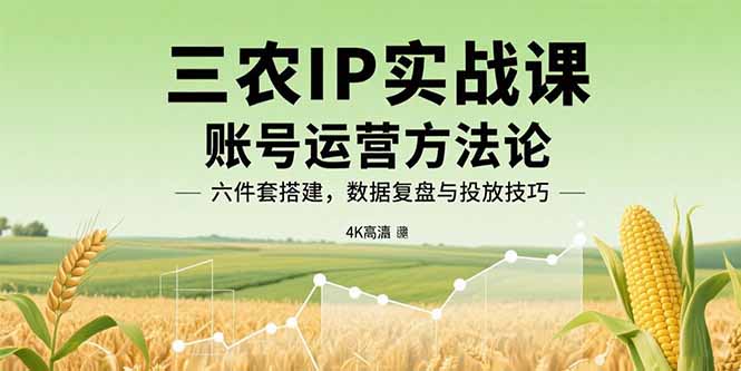 三农IP实战课：账号运营方法论，六件套搭建，数据复盘与投放技巧-星火轻创