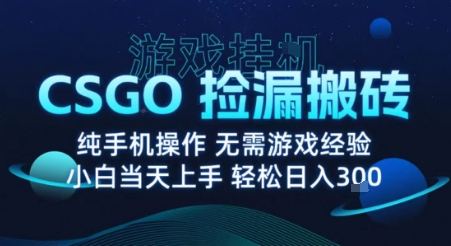 8月最新游戏搬砖，CSGO纯挂G，不需要玩游戏，实现真挂G，月入1W+【揭秘】-星火轻创
