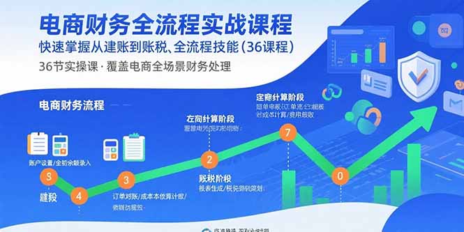 电商财务全流程实战课程：快速掌握从建账到报税的全流程技能(36节课-星火轻创