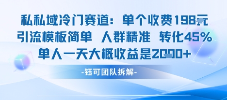 私域冷门赛道单个收费198米引流模板简单人群精准 45%的转化率单人一天大概收益多张-星火轻创