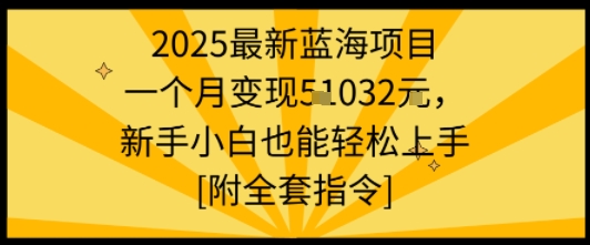 2025最新蓝海项目一个月变现1w+新手小白也能轻松上手【附全套指令】-星火轻创