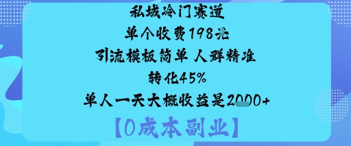 私域冷门赛道:单个收费198米引流模板简单人群精准转化45%单人一天大概收益是1k+-星火轻创