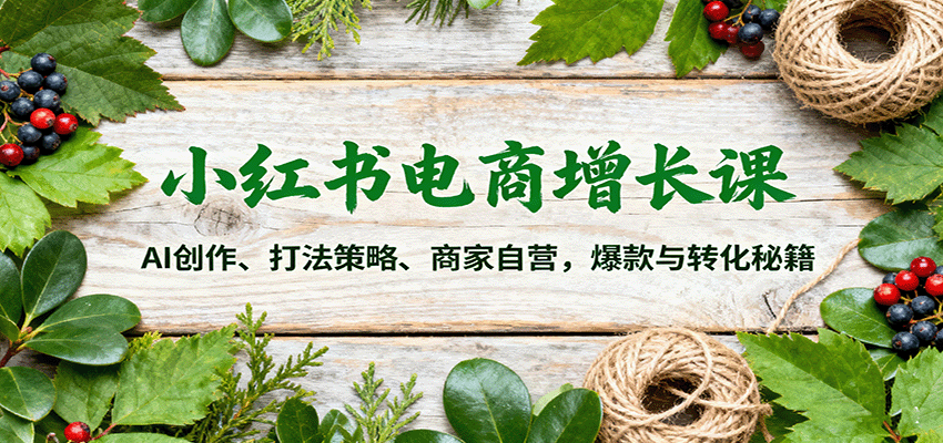 小红书电商增长课:AI创作、打法策略、商家自营,爆款与转化秘籍-小艾项目网