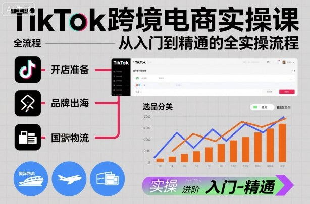 TikTok跨境电商实操课，从入门到精通的全实操流程-星火轻创