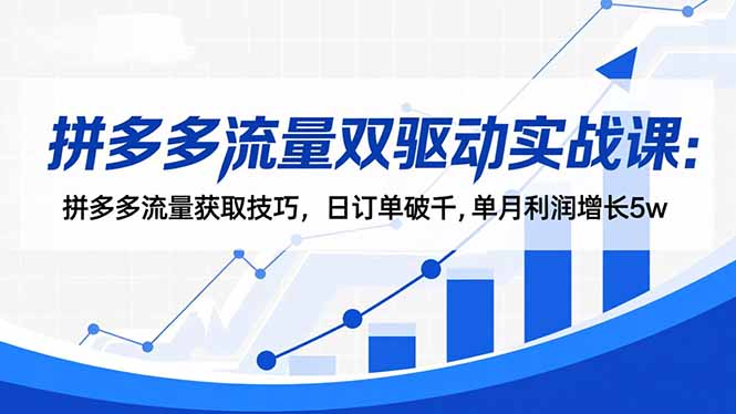 拼多多流量双驱动实战课：拼多多流量获取技巧，日订单破千,单月利润增长5w-星火轻创