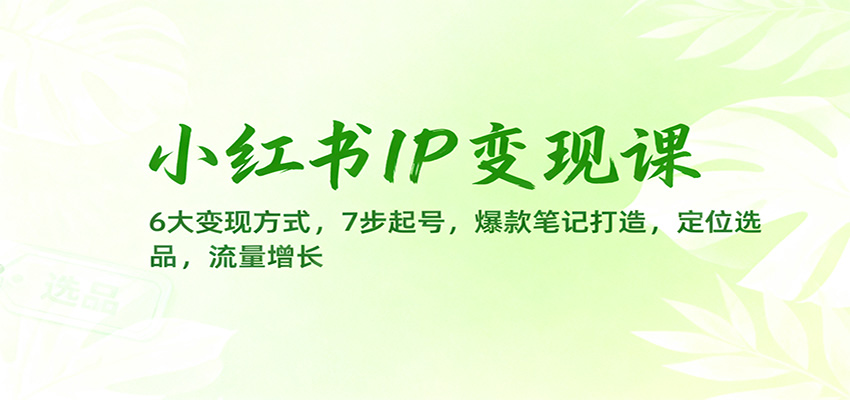 小红书IP变现课:6大变现方式,7步起号,爆款笔记打造,定位选品,流量增长-小艾项目网
