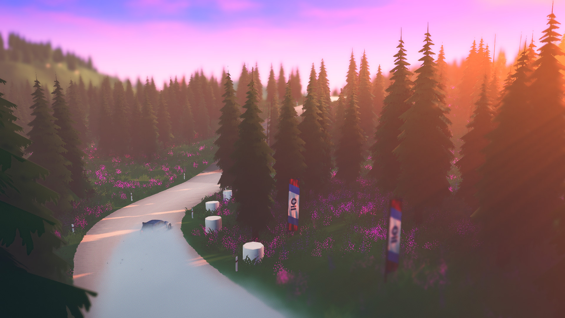 《拉力赛艺术 art of rally》Switch中文版NSZ下载 – 含1.1.9补丁-星火轻创