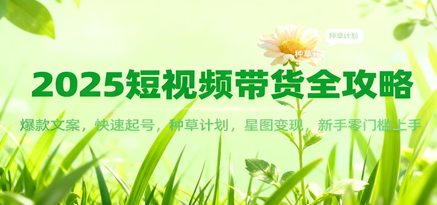 2025短视频带货全攻略:爆款文案,快速起号,种草计划,星图变现,新手零门槛上手-星火轻创