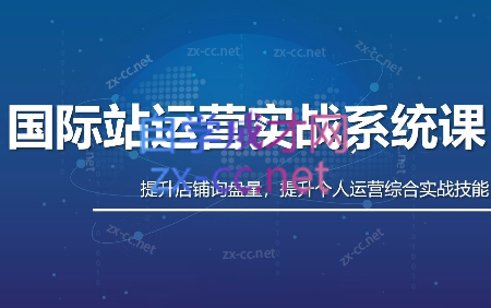 白老师·国际站运营实战系统(高质量询盘增长课)(部分更新)-星火轻创