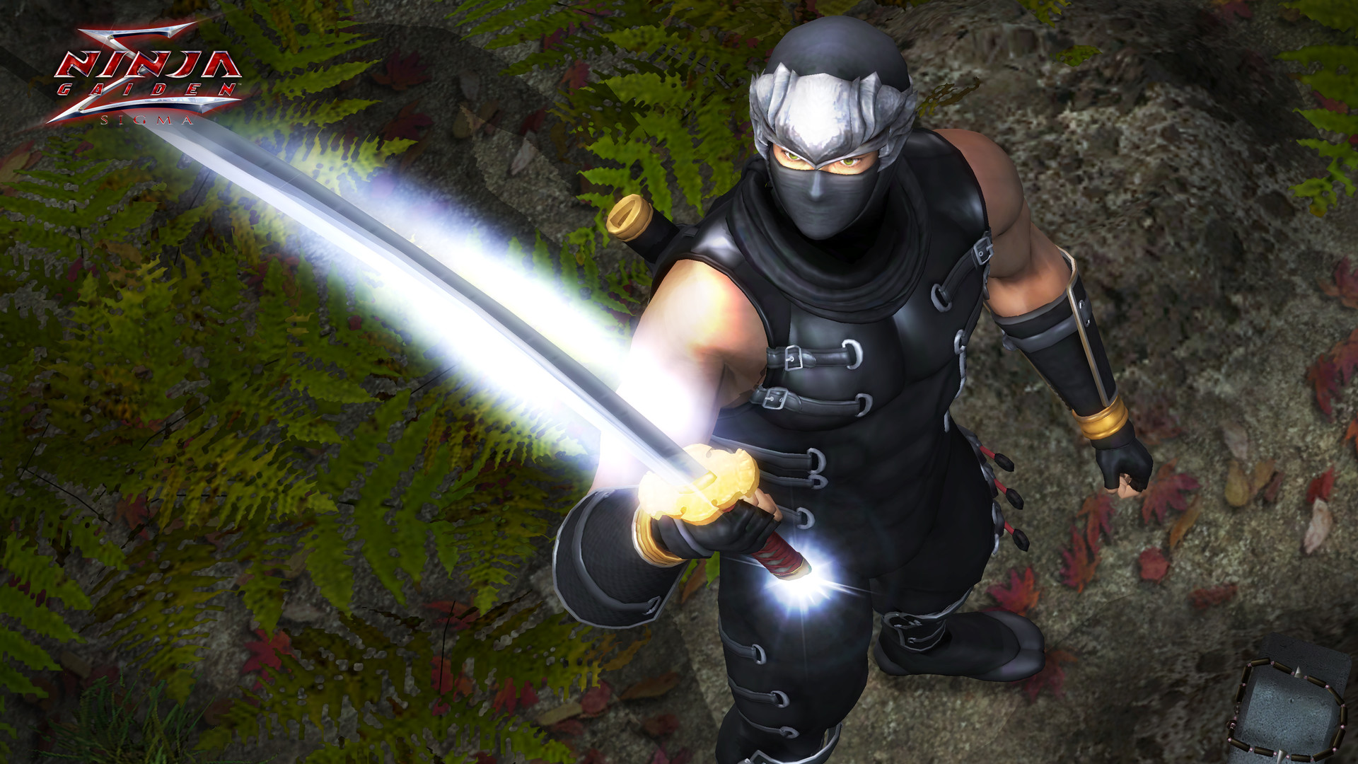 《忍者龙剑传:大师合集/NINJA GAIDEN: Master Collection》PC中文版下载-含v1.0.0.3-星火轻创