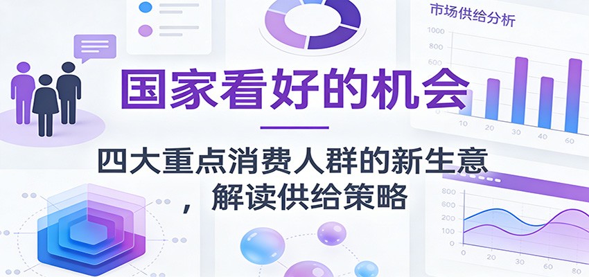公众号付费文章:国家看好的机会,四大重点消费人群的新生意,解读供给策略-星火轻创