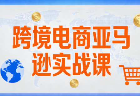 丝丝老师·跨境电商亚马逊实战课(更新2月)-星火轻创