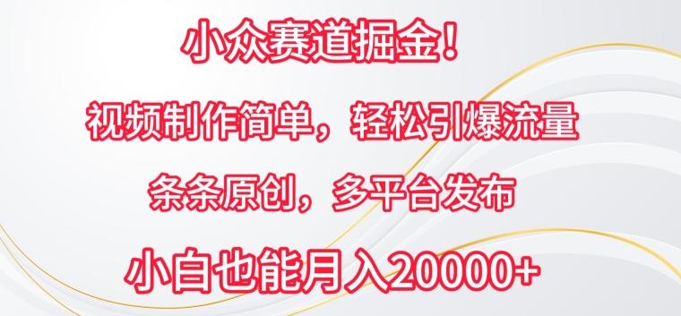 小众赛道掘金，视频制作简单，轻松引爆流量，条条原创，多平台发布【揭秘】-星火轻创