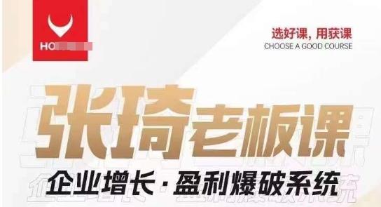 【组合课】张琦张琦老板企业增长·盈利爆破系统（直播专享）-星火轻创