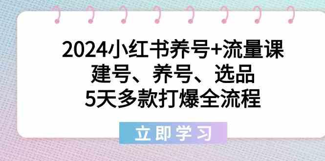 2024小红书养号+流量课：建号、养号、选品，5天多款打爆全流程-星火轻创