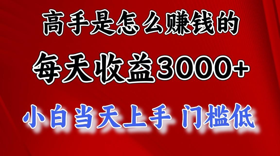 高手是怎么赚钱的,一天收益3000+,闷声发财项目,不是一般人能看懂的-星火轻创