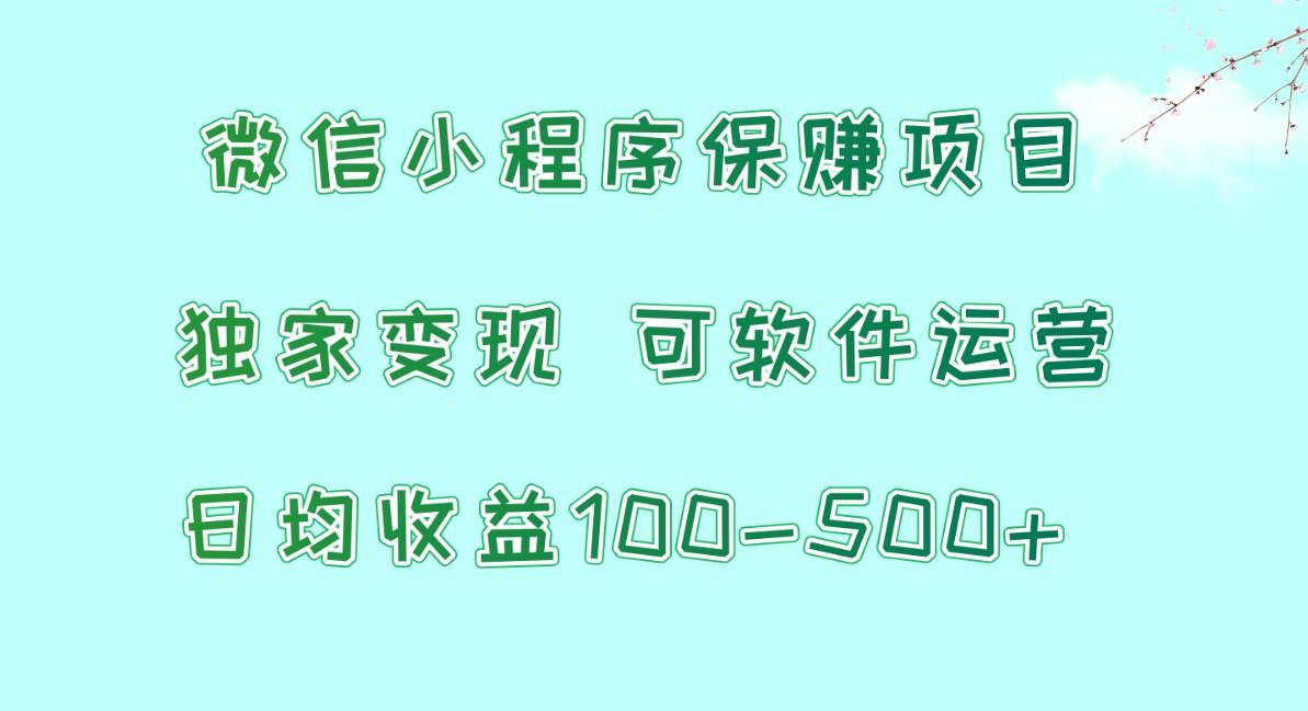 微信小程序保赚项目，日均收益100~500+，独家变现，可软件运营-星火轻创