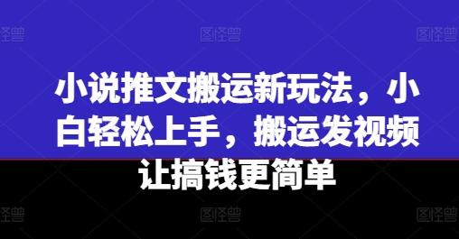 小说推文搬运新玩法，小白轻松上手，搬运发视频让搞钱更简单-星火轻创