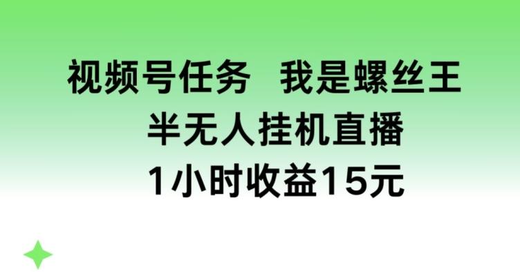 视频号任务，我是螺丝王， 半无人挂机1小时收益15元【揭秘】-星火轻创