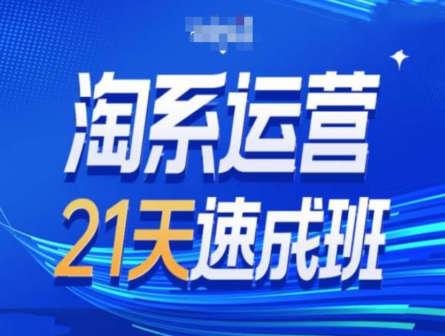 淘系运营21天速成班第34期-搜索最新玩法和25年搜索趋势-星火轻创