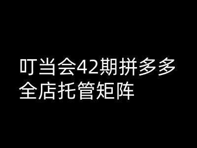 叮当会拼多多打爆班原创高阶技术第42期，拼多多全店托管矩阵-星火轻创