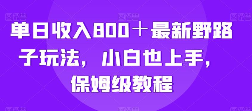 单日收入800＋最新野路子玩法，小白也上手，保姆级教程-星火轻创