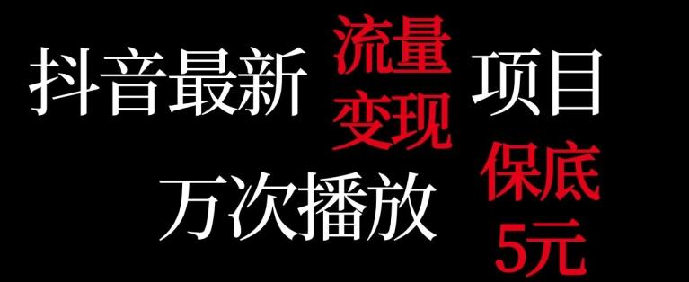 抖音流量变现，万次播放保底5元，额外收入-星火轻创