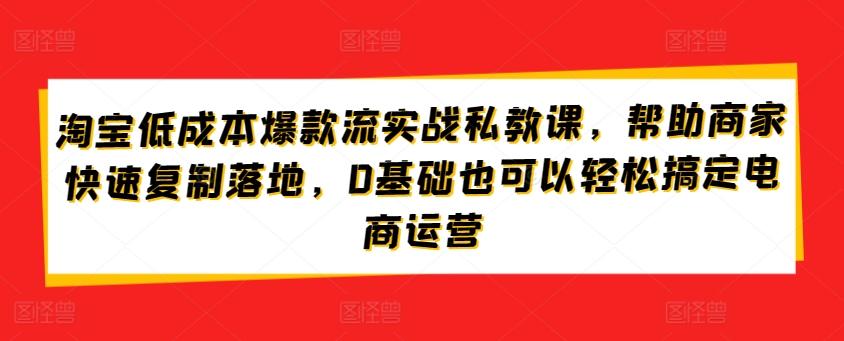 淘宝低成本爆款流实战私教课，帮助商家快速复制落地，0基础也可以轻松搞定电商运营-星火轻创