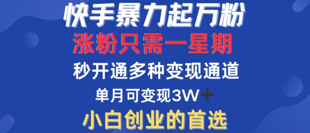 快手暴力起万粉，涨粉只需一星期，多种变现模式，直接秒开万合，单月变现过W【揭秘】-星火轻创