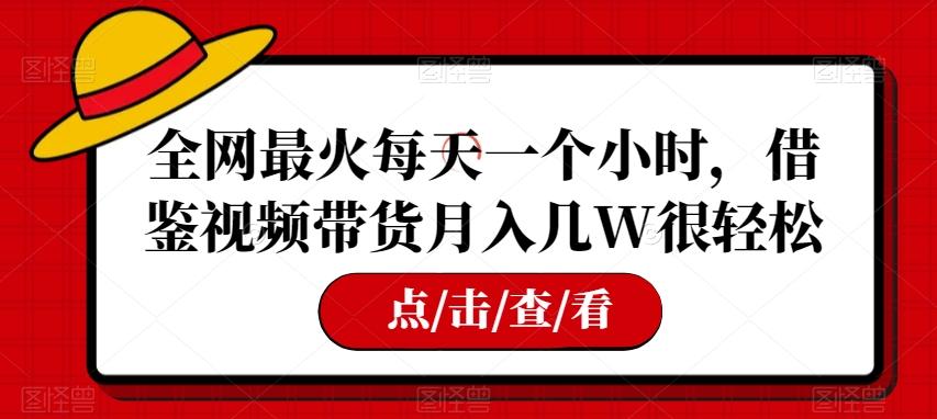 全网最火每天一个小时，借鉴视频带货月入几W很轻松【揭秘】-星火轻创