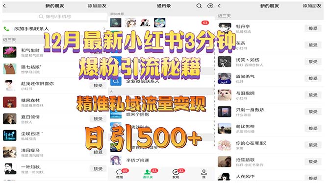 12月最新小红书3分钟爆粉引流秘籍 精准私域流量变现 日引500+-星火轻创