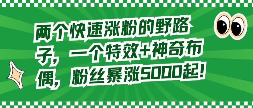 两个快速涨粉的野路子，一个特效+神奇布偶，粉丝暴涨5000起【揭秘】-星火轻创