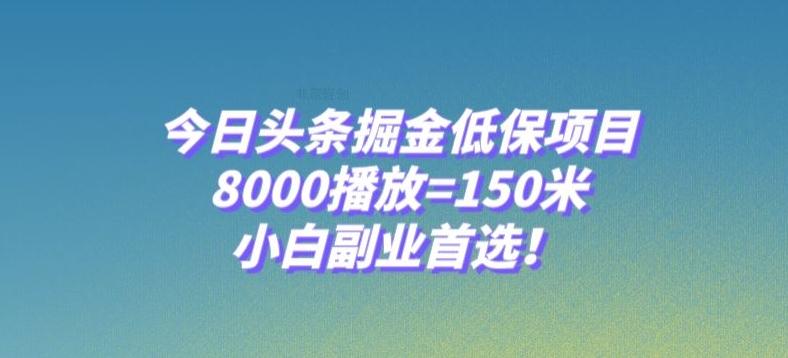 今日头条掘金低保项目，8000播放=150米，小白副业首选【揭秘】-星火轻创