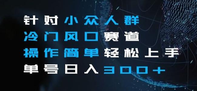 针对小众人群冷门风口赛道，操作简单轻松上手单号日入300+-星火轻创