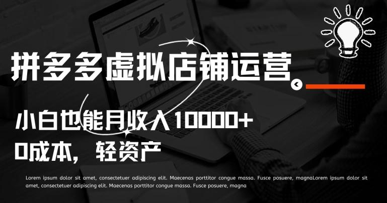 拼多多虚拟店铺运营小白也能月收入10000+【揭秘】-星火轻创